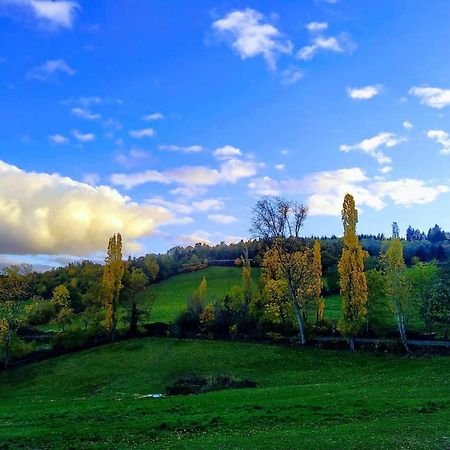 Villemontais La Ferme Des Galoches B&B 외부 사진