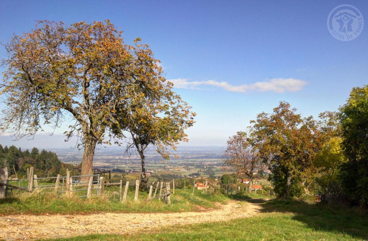 Villemontais La Ferme Des Galoches B&B 외부 사진