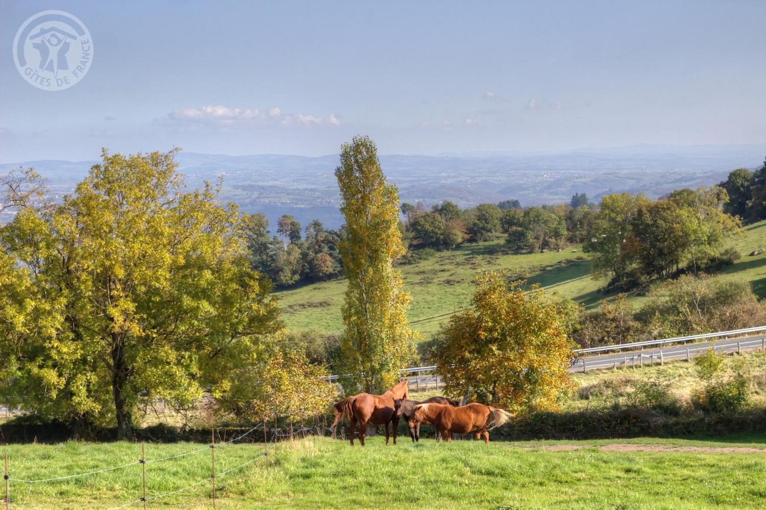 Villemontais La Ferme Des Galoches B&B 외부 사진