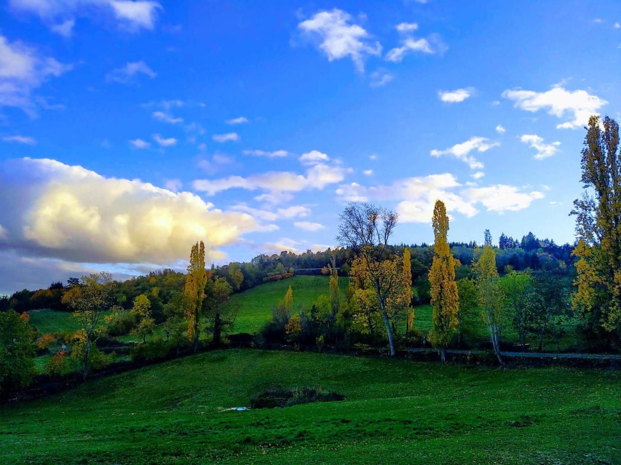 Villemontais La Ferme Des Galoches B&B 외부 사진